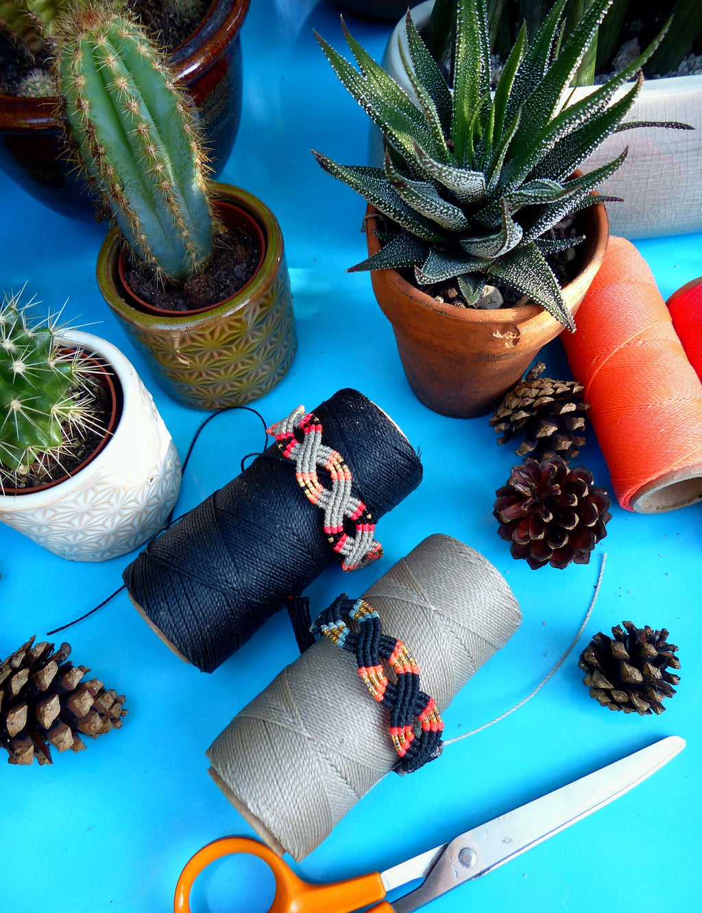 Peut inclure: Deux bobines de cordon, une noire et une beige, avec des bracelets d'amitié colorés enroulés autour. Les bobines sont sur une surface bleue avec des pommes de pin, des ciseaux et des succulentes en pot.